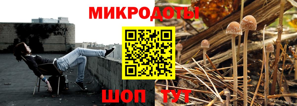 Галлюциногенные грибы ЛСД Лесозаводск